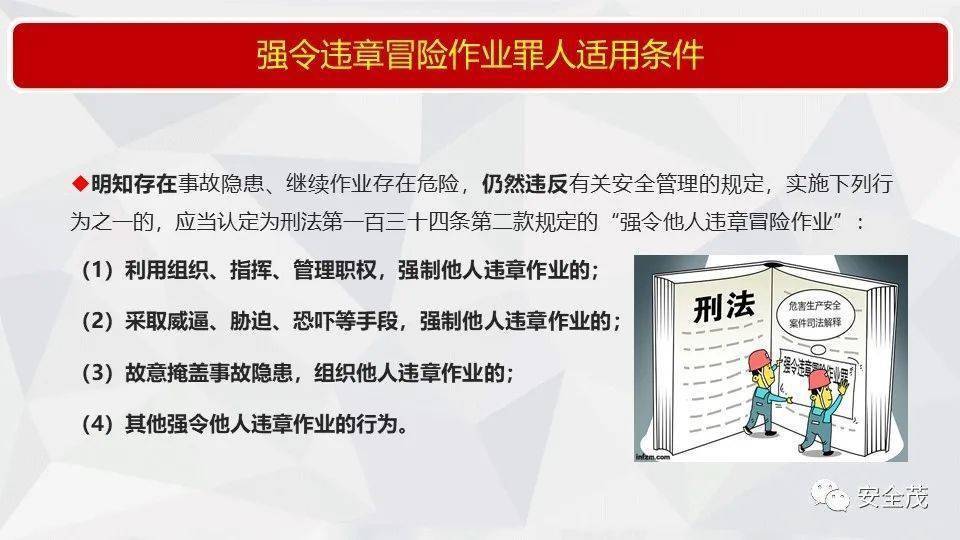 2025年新澳正版免费料全面释义、解释与落实