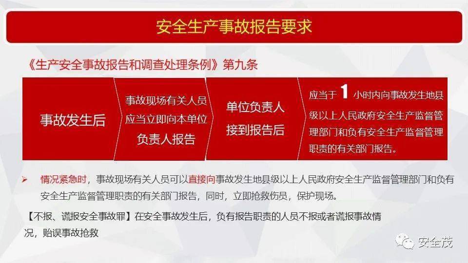 王中王493333WWW马头诗,全面释义、解释与落实